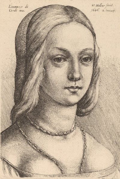 Leder af kvinde ser rigtigt. af Wenceslaus Hollar