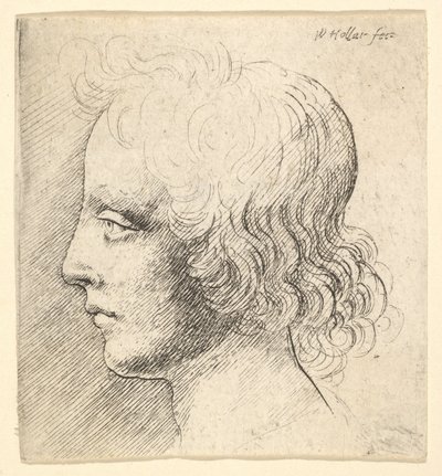  af Wenceslaus Hollar