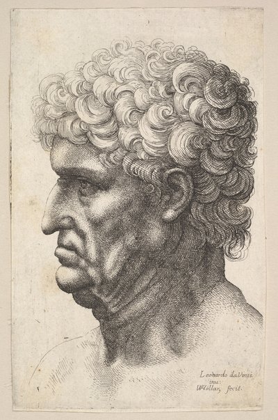 Hoved af en mand med tykt krøllet hår i profil til venstre, 1640-49. af Wenceslaus Hollar