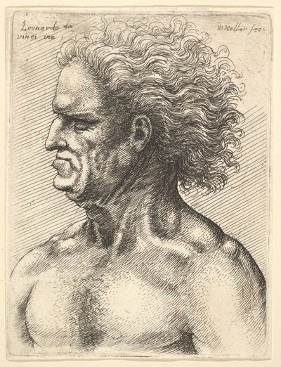 Hovedet af en muskuløs gammel mand i profil til venstre med strømmende hår, 1625-77. af Wenceslaus Hollar