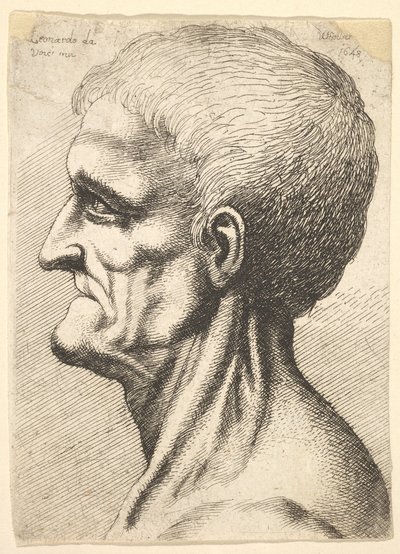 Hoved af en tandløs mand med bar, senet hals i profil til venstre, 1648. af Wenceslaus Hollar