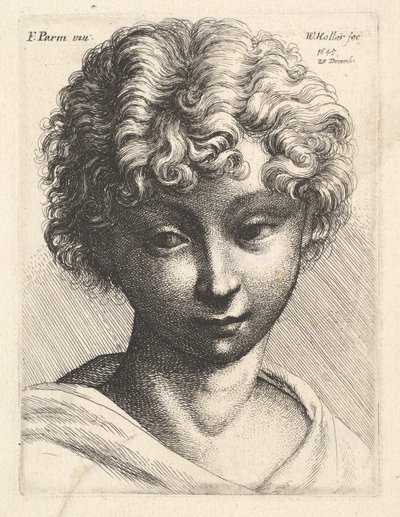 Hoved af en ung pige, 1645. af Wenceslaus Hollar