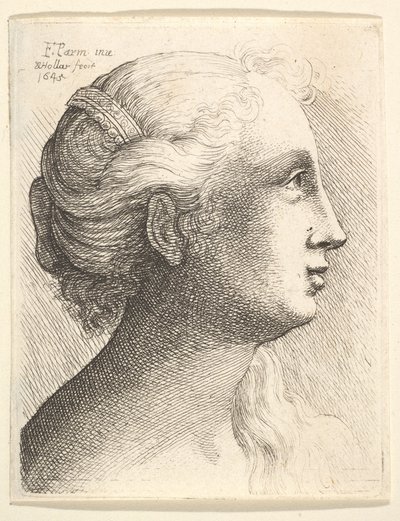 Leder af en ung kvinde i profil til højre, 1645. af Wenceslaus Hollar