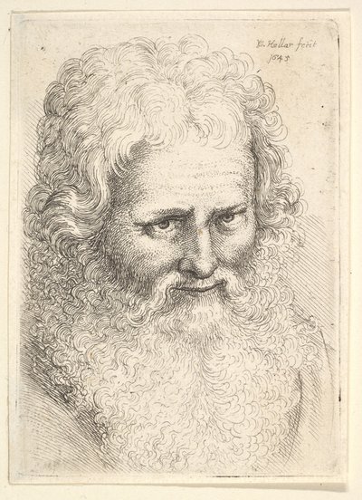 Hoved af en gammel mand med stort skæg, 1645. af Wenceslaus Hollar