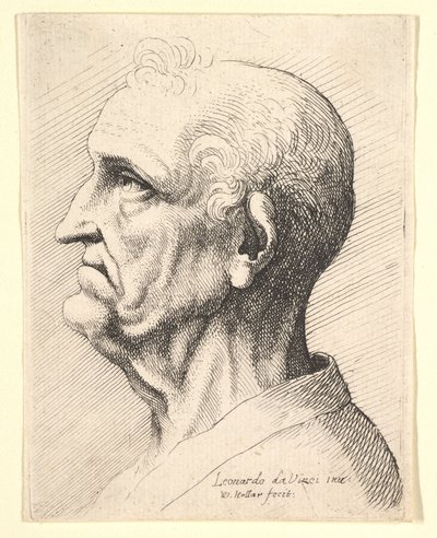 Hoved af en gammel mand med totter af krøllet hår omkring øret i profil til venstre, 1644-52. af Wenceslaus Hollar