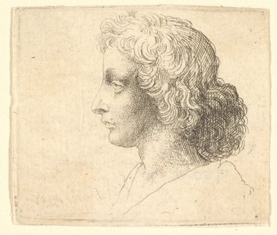 Hoved af ung mand med langt hår i profil til venstre, 1644-52. af Wenceslaus Hollar