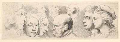 Hovedstudier, 1644-52. af Wenceslaus Hollar