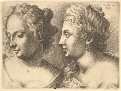 Hoveder af to unge kvinder, 1645. af Wenceslaus Hollar