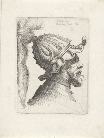 Hovedet af en mand med hjelm Hoveder med hjelme til Parmigianino (serietitel) af Wenceslaus Hollar