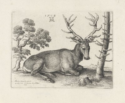 Tilbagelænet rådyr, til højre af Wenceslaus Hollar