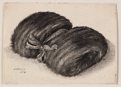  af Wenceslaus Hollar