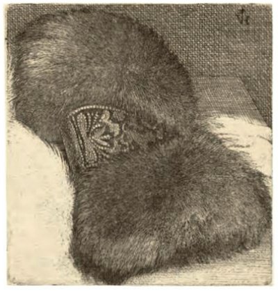 Muffe med brokadebånd af Wenceslaus Hollar
