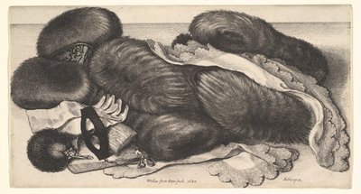  af Wenceslaus Hollar