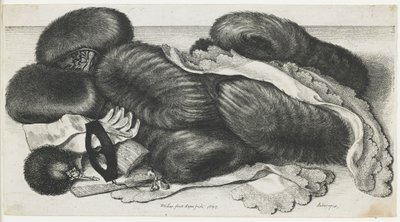 Muffer og beklædningsgenstande på et bord, 1647 af Wenceslaus Hollar