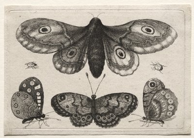  af Wenceslaus Hollar