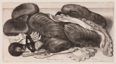  af Wenceslaus Hollar