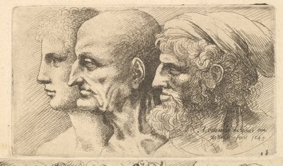 Række af tre hoveder i profil til venstre, 1645. af Wenceslaus Hollar
