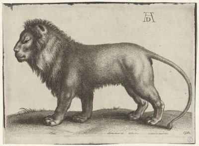 stående løve af Wenceslaus Hollar