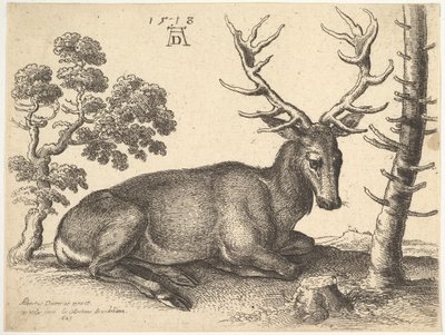 Hjort liggende til højre, 1649. af Wenceslaus Hollar