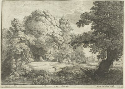 Broen over vandfaldet af Wenceslaus Hollar