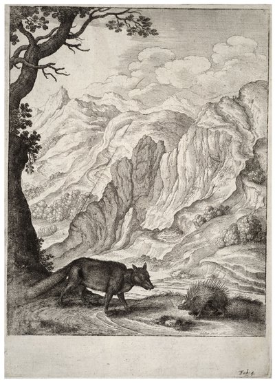 Ræven og pindsvinet. Tilstand 2 af Wenceslaus Hollar