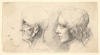 Tre profilhoveder, kun et i omrids, 1625-77. af Wenceslaus Hollar