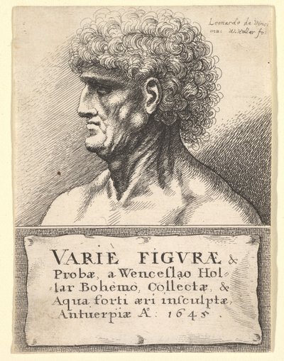 Titelside til Variety of Figures & Probes, 1645 af Wenceslaus Hollar