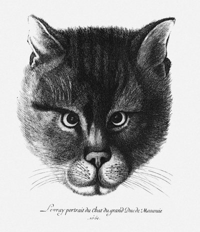 Sandt billede af zaren Alexis I Mikhailovichs kat af Rusland af Wenceslaus Hollar