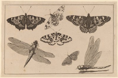 To guldsmede og fem sommerfugle af Wenceslaus Hollar
