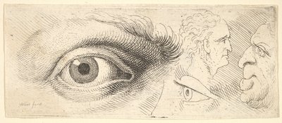 To øjne og to hoveder, 1644-52. af Wenceslaus Hollar