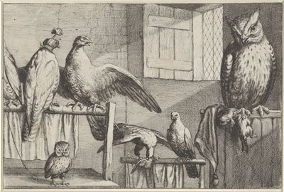 Falke og ugler i en lade Diversae avium arter (serietitel) Forskellige fugle (serietitel) af Wenceslaus Hollar