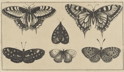 Fem sommerfugle og en møl Forskellige insekter (serietitel) Diversae Insectorum (serietitel) af Wenceslaus Hollar
