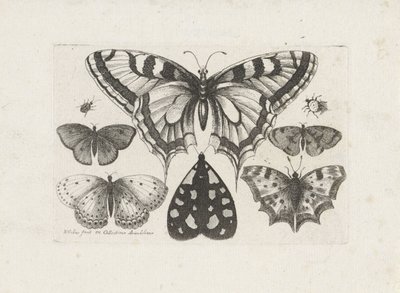 Sommerfugle, biller og en møl Insekter (serietitel) Muscarum Scarabeorum (serietitel) af Wenceslaus Hollar
