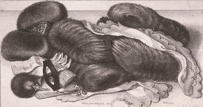 Vinterbeklædning til en kvinde, inklusive muffer, handsker og lommetørklæder, 1647 af Wenceslaus Hollar