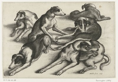 Seks liggende jagthunde Jagt, jagthunde og vildt (serietitel) af Wenceslaus Hollar