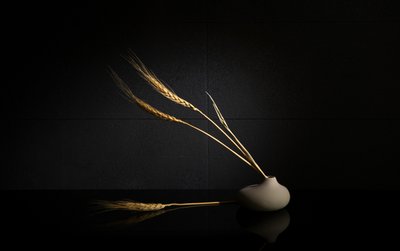 af Wendy Xu