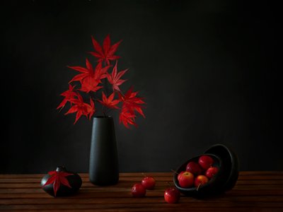  af Wendy Xu
