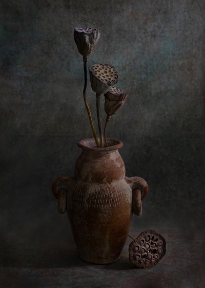  af Wendy Xu