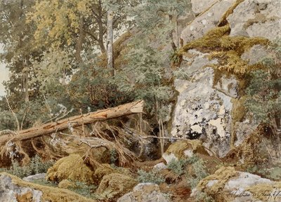 Mosbevokset sten i skoven af Werner Holmberg