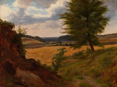 Træ i marklandskab, studie af Werner Holmberg