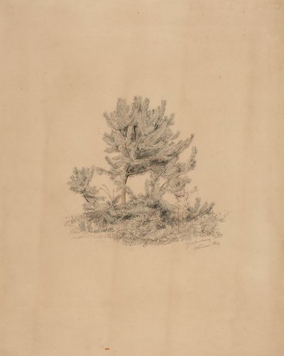 Uden titel af Werner Holmberg