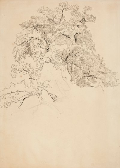  af Werner Holmberg