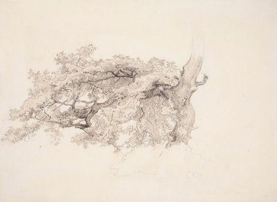  af Werner Holmberg
