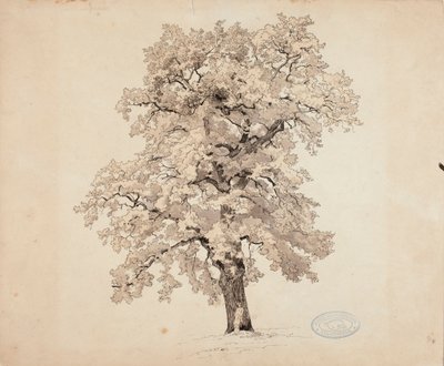  af Werner Holmberg