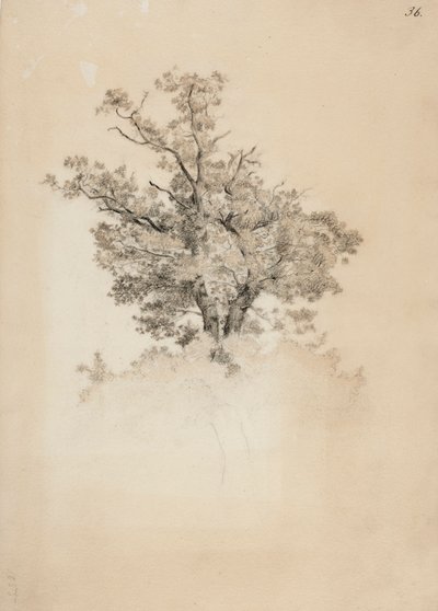  af Werner Holmberg