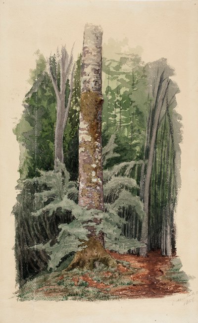 af Werner Holmberg