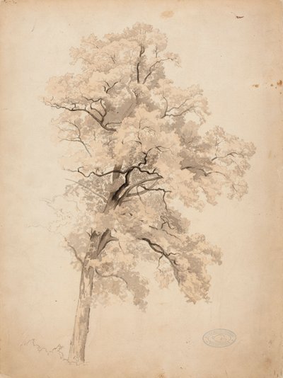  af Werner Holmberg
