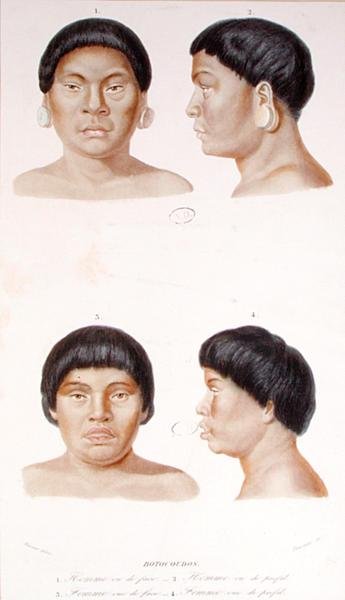 Antropometrisk undersøgelse af to Botocudos-indianere, indgraveret af Fournier, midten af det 19. århundrede (farve litho) af Werner Werner