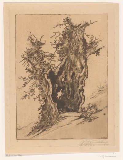 Hult træ ved Seelisberg i Schweiz Hollow Tree (original titel) af Wijnand Otto Jan Nieuwenkamp (signed by artist)