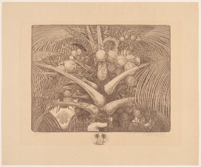 Toppen af ​​et kokosnøddetræ Tropenweelde (original titel på objekt) af Wijnand Otto Jan Nieuwenkamp (signed by artist)